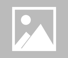 九游app-球场新秀惊艳亮相，独揽进球荣誉的简单介绍